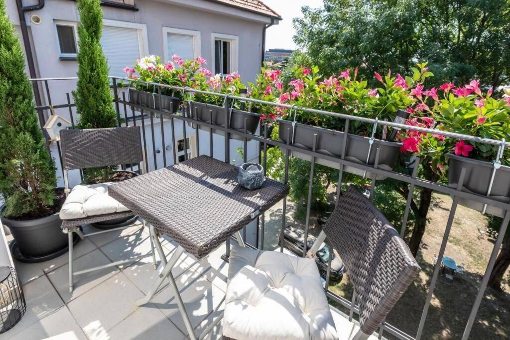 Old Town Apartment Bratislava Eksteriør bilde